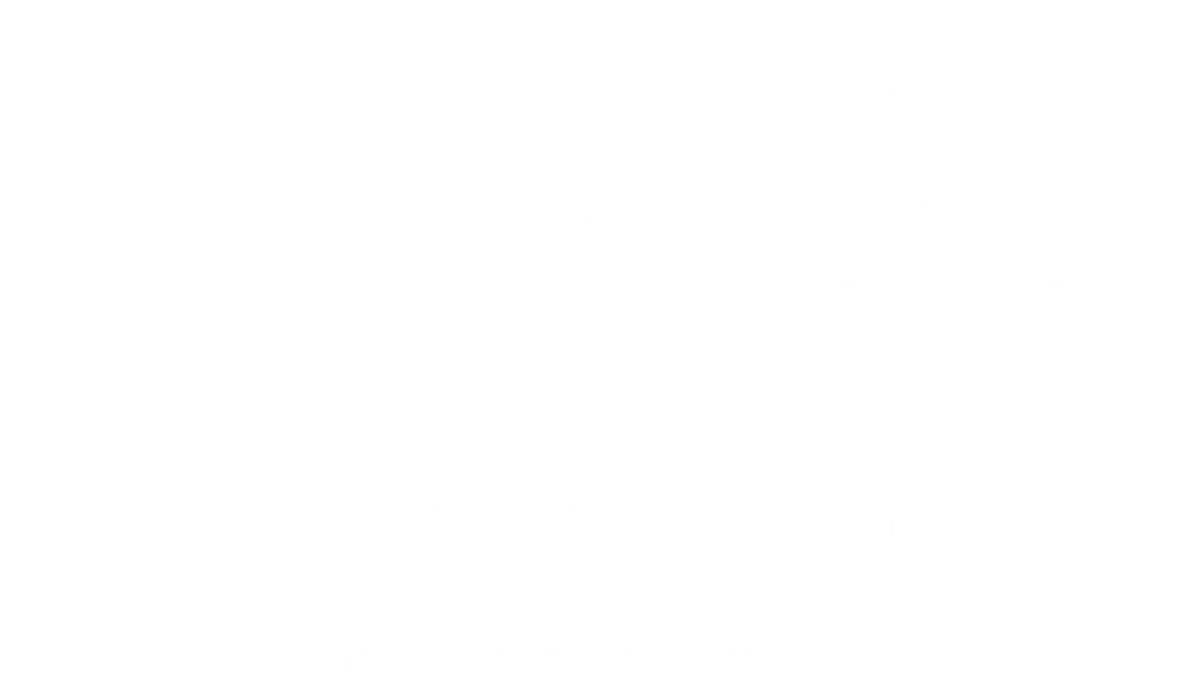 Hotel Kint